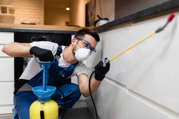 Best Rat Extermination Near Me  in Schlusser, PA
