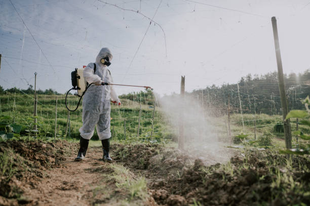 Best Local Pest Control Services  in Schlusser, PA