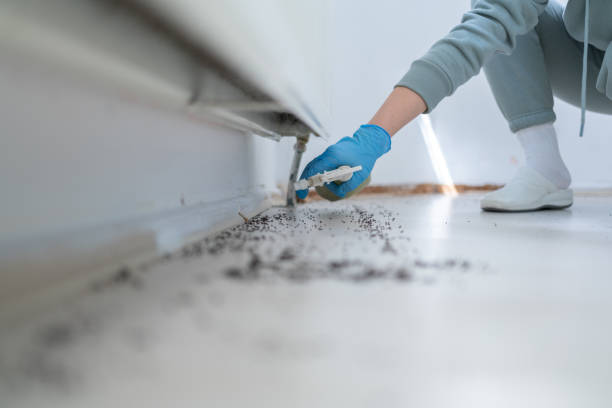 Best Pest Prevention Services  in Schlusser, PA